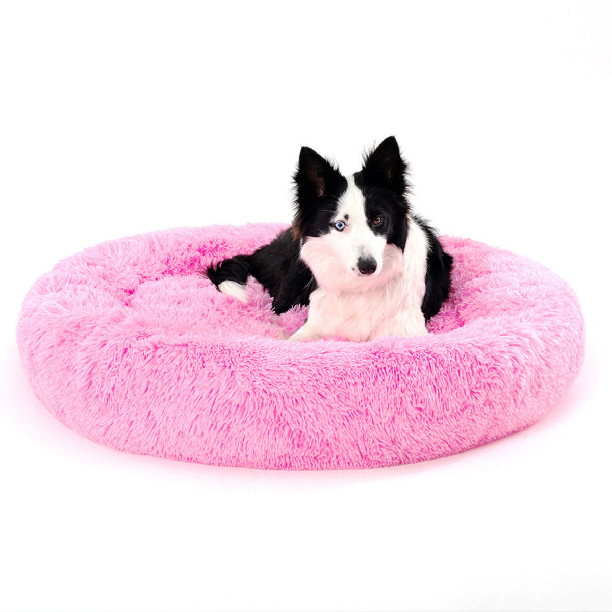 Pet sleeping in donut bed